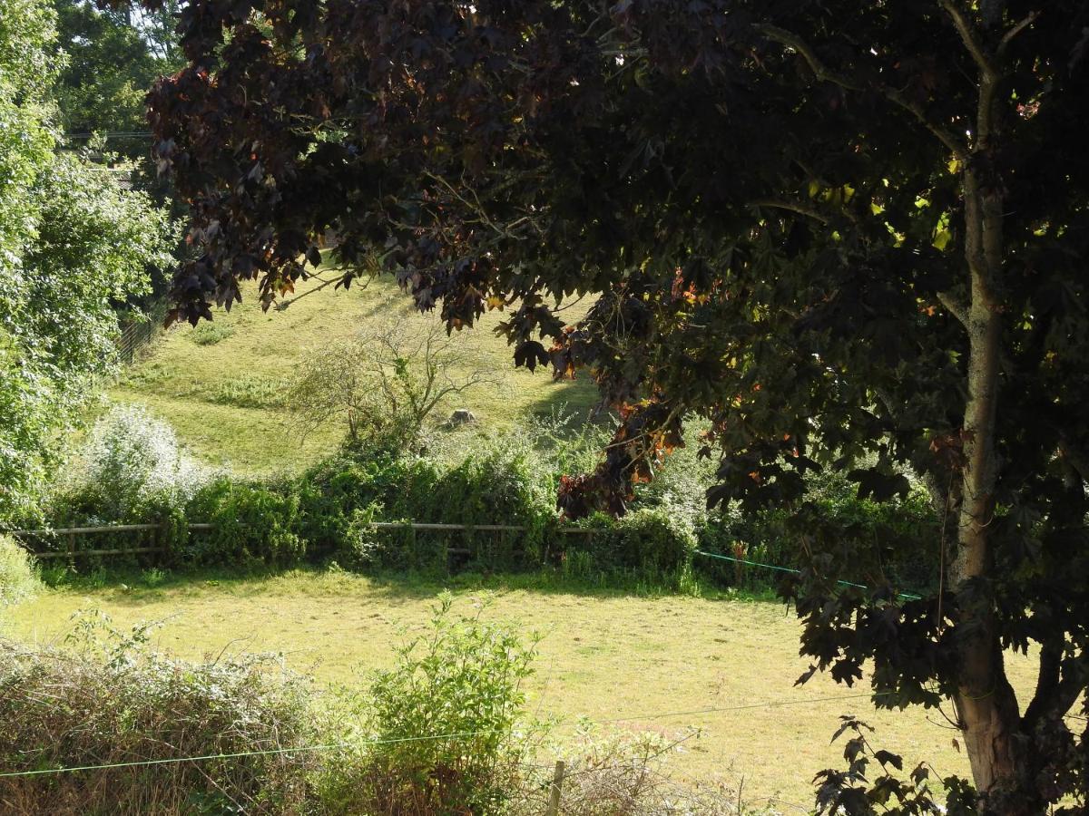 The Shed @ Stares Farm Cottage سيدفيلد المظهر الخارجي الصورة